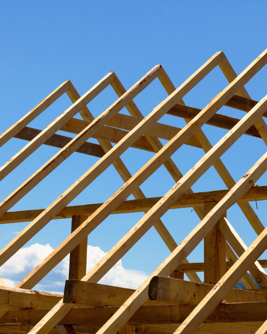 vivienda resiliente 2 Finques El Pallars