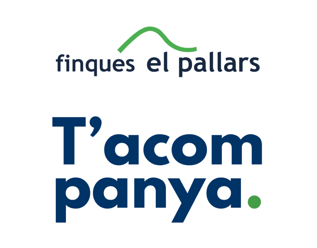 actualitat immobiliaria